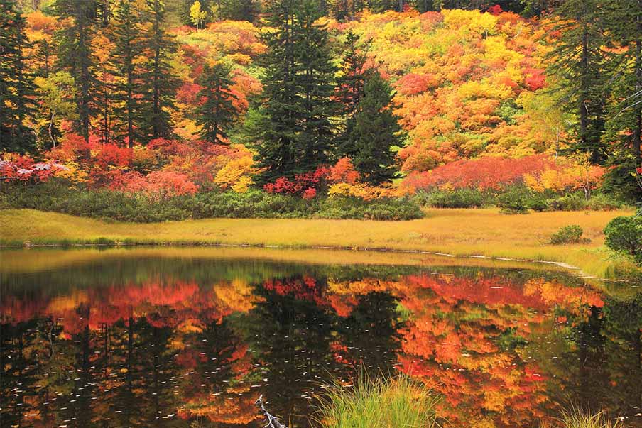 What makes autumn in Japan so special?