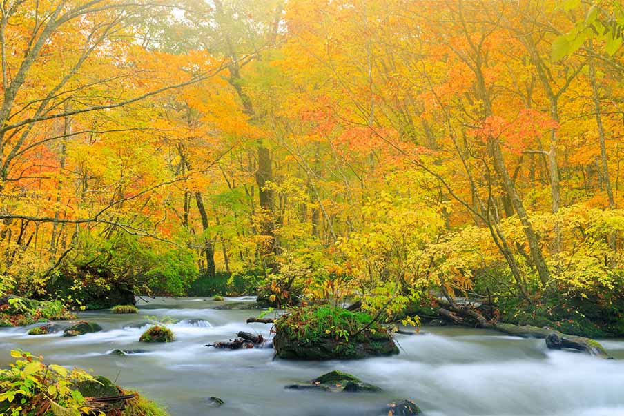 Lake Towada – Connect with untouched nature