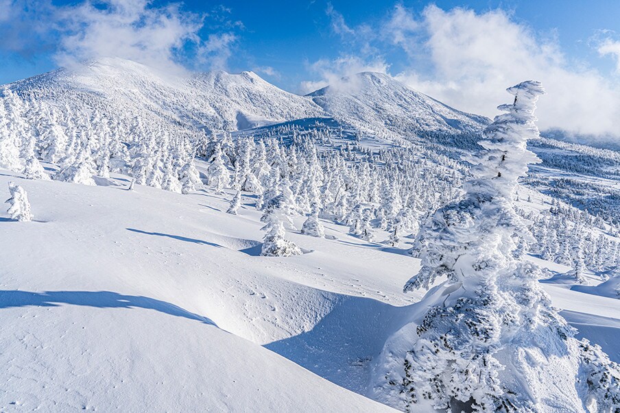 Untouched nature abounds in the majestic Hakkoda Mountains