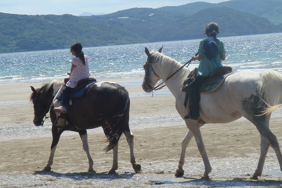 Découvrez des randonnées de classe mondiale à Hirado