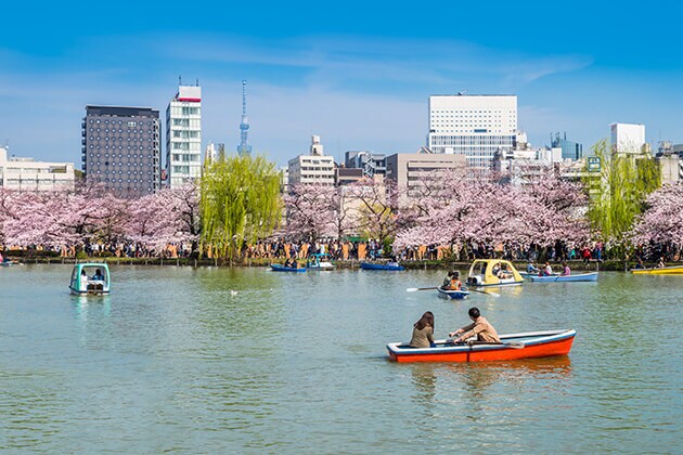 Explorer le parc Ueno