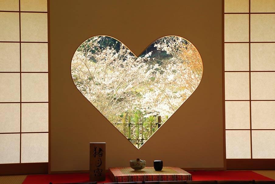 Que représentent les fleurs de cerisier dans la culture japonaise ?