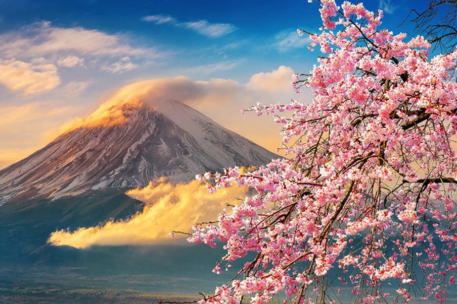 Le printemps au Japon