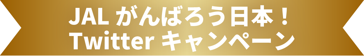 Twitterキャンペーン