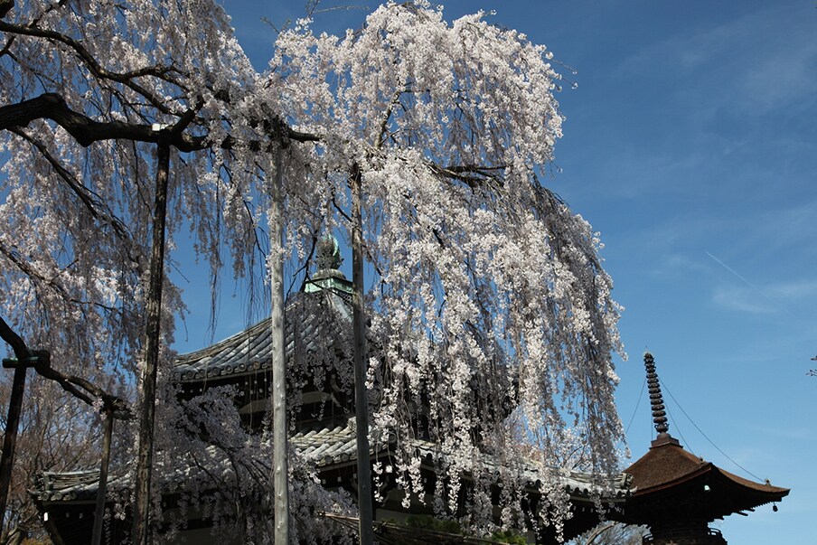 Yoshiminedera Temple