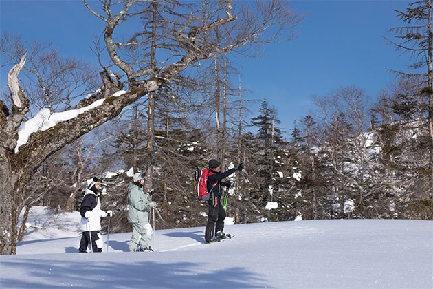 Exploring the ski slopes of Mt. Naeba