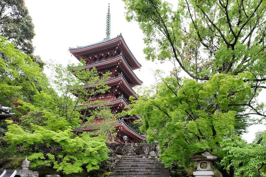 Activity 13: Kochi City Half-Day Sightseeing
