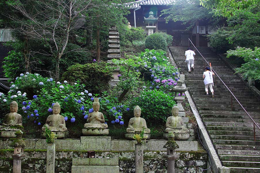 Walking the sacred paths of the Shikoku Pilgrimage