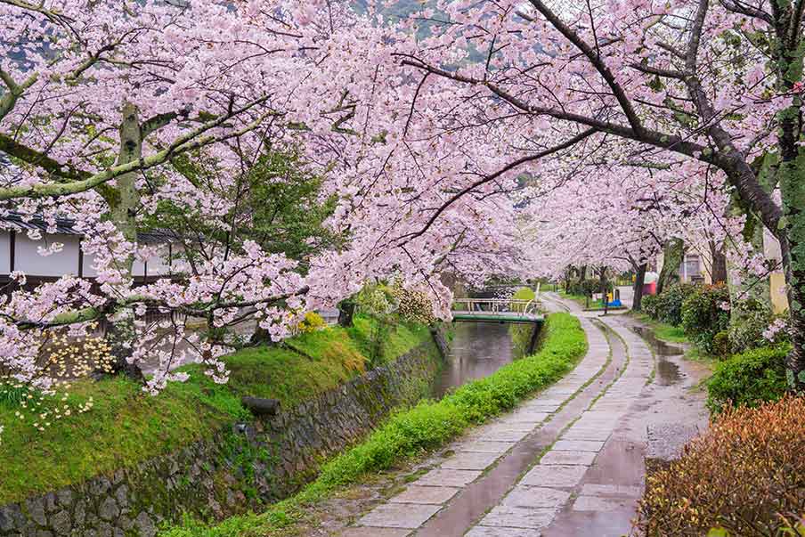 Philosopher's Path – Take a meditative stroll