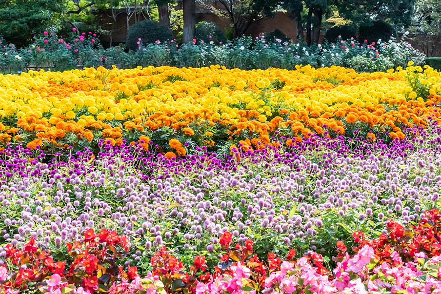 福岡市動植物園 城市中的自然氣息