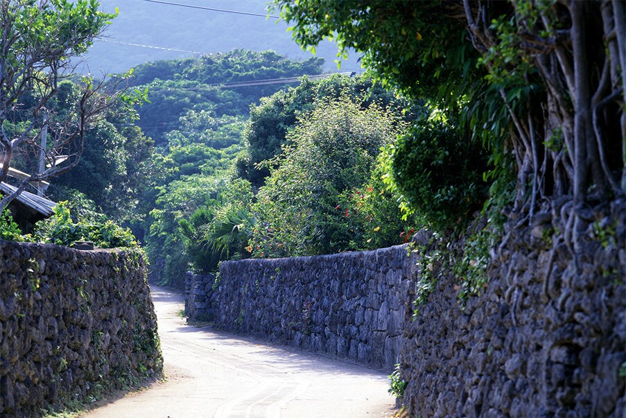 珊瑚島的終極生態旅遊體驗——喜界島 