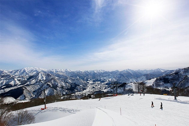 為甚麼應到新潟滑雪？