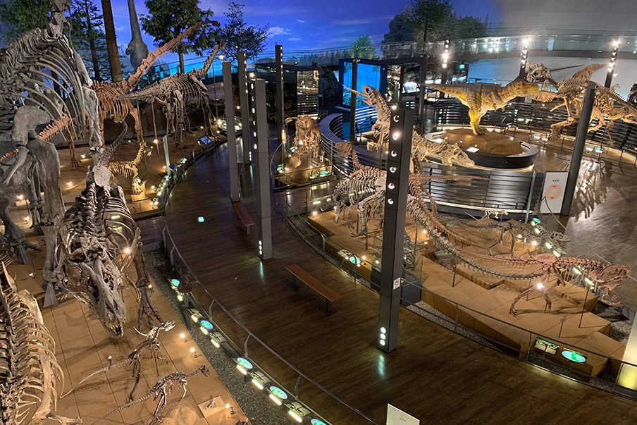 Unveiling prehistoric marvels at the Fukui Prefectural Dinosaur Museum