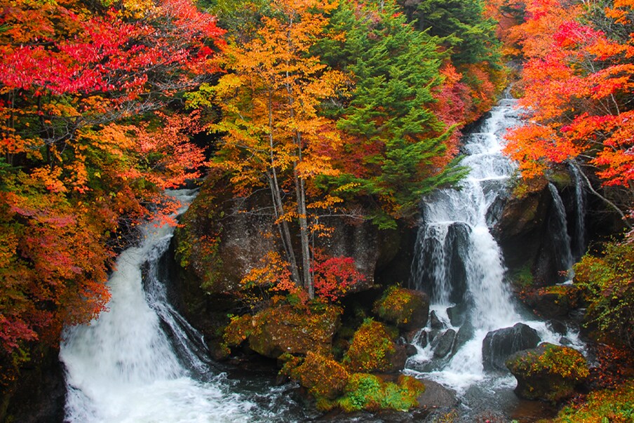 Japan in September to November: Fall (temperature range: 7°-27°C)