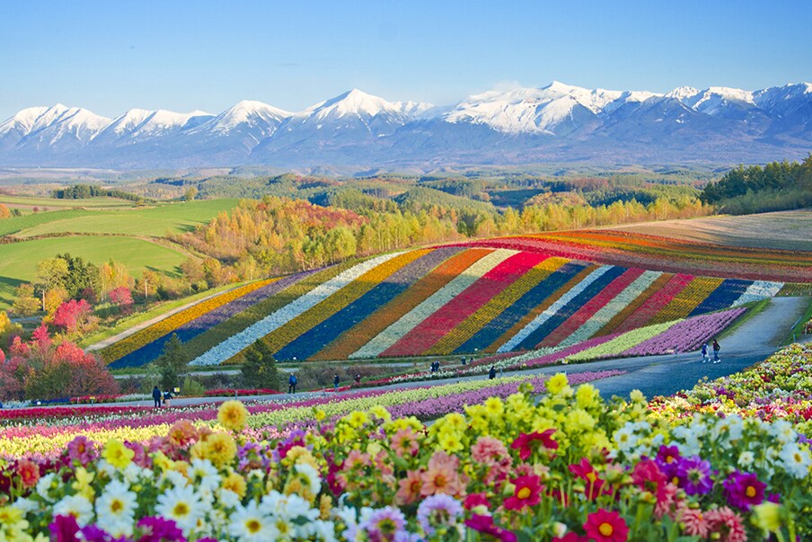 There are reasons to visit Japan at any time of the year