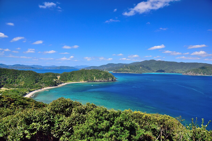 Panorama dari lokasi Ankyaba Battle