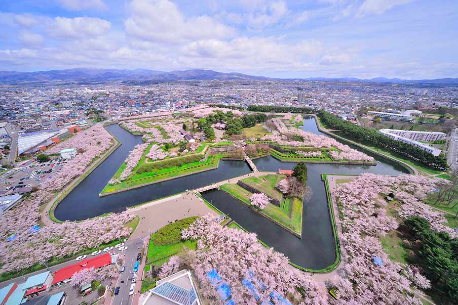 Nikmati pemandangan dan barbekyu di Festival Bunga Sakura Goryokaku