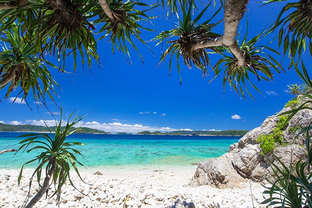 Contoh perhentian beberapa kota