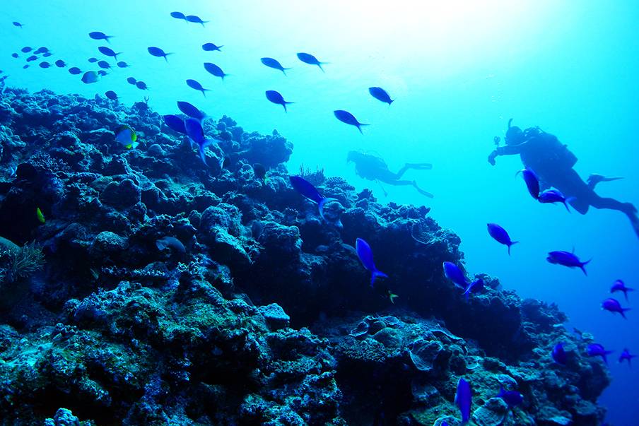 Spot Selam Warisan Alam UNESCO di Amami dan Yakushima