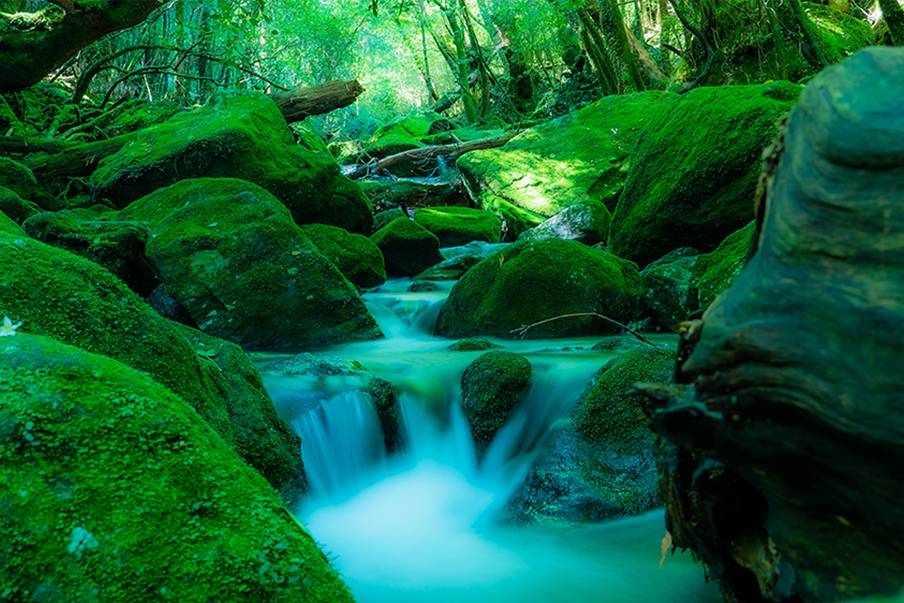 Mendaki melintasi Ngarai Shiratani Unsuikyo