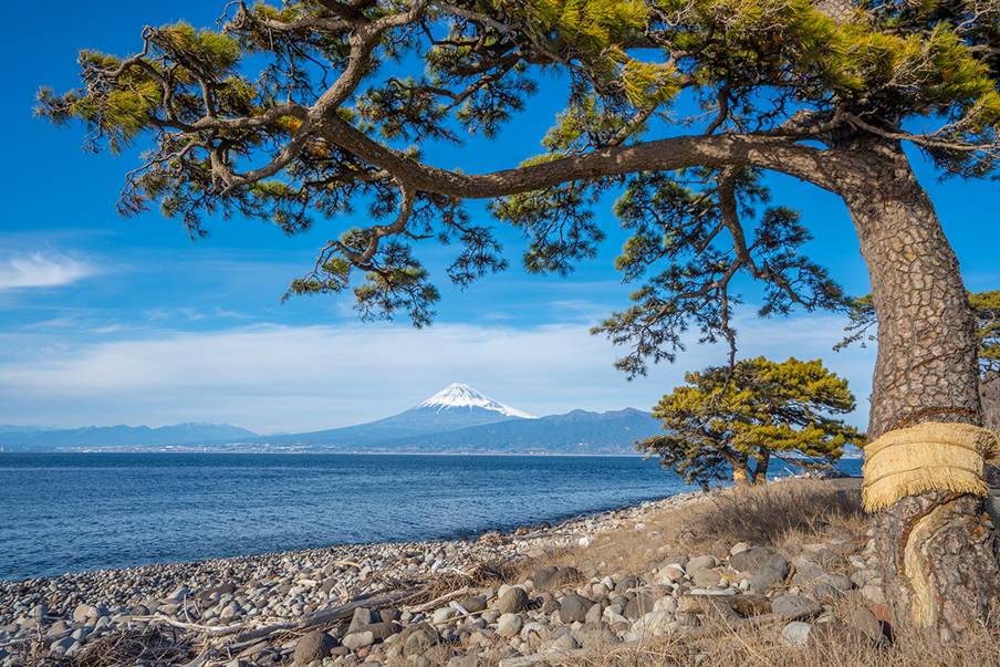 Menyelam Makro dan Gunung Fuji di Osezaki