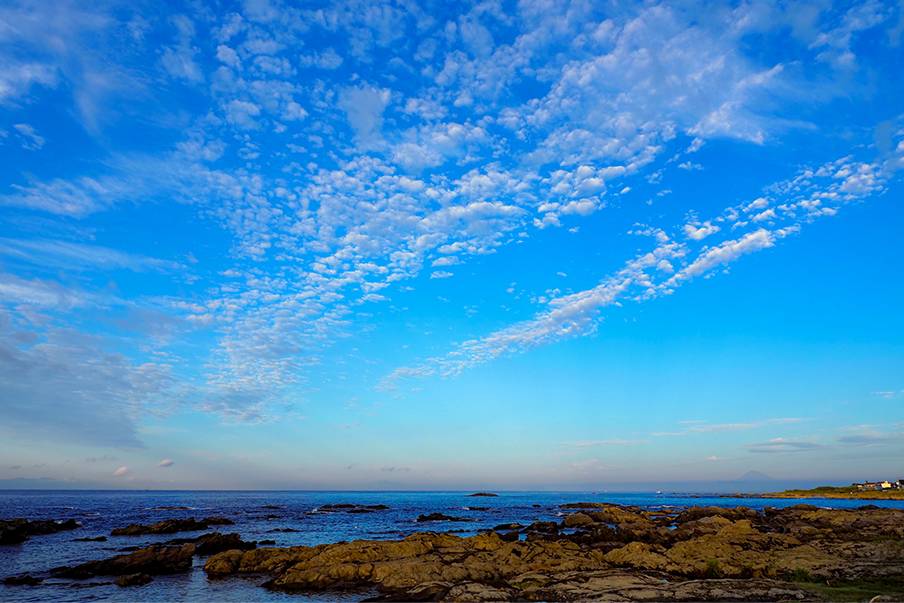 Menyelam bersama hiu anjing halus Jepang di Chiba Ito