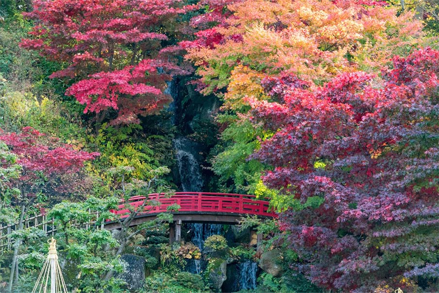 Walk around Fujita Memorial Garden