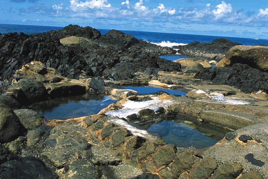 Hirauchi Hot Onsen Spring (平内海中温泉)-tide pools by the sea