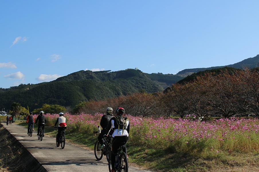 Cycling Courses in Wakayama