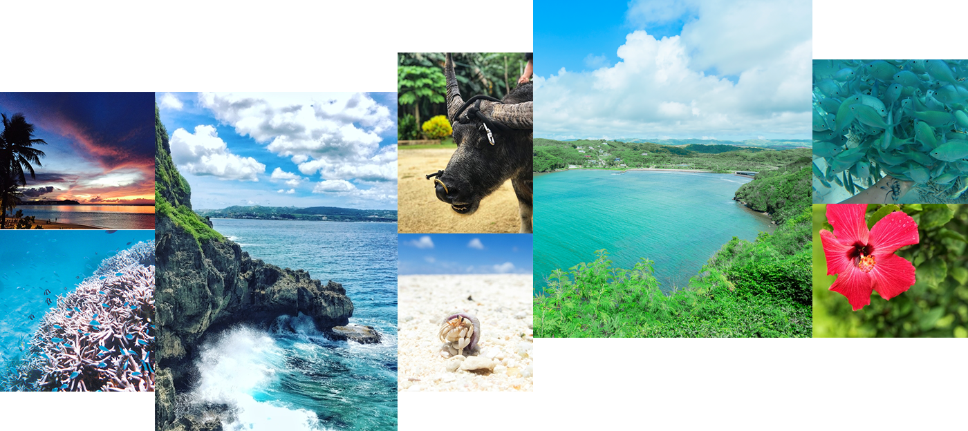 この楽しさを知ってほしいから 今 行きたい グアム Jal国際線