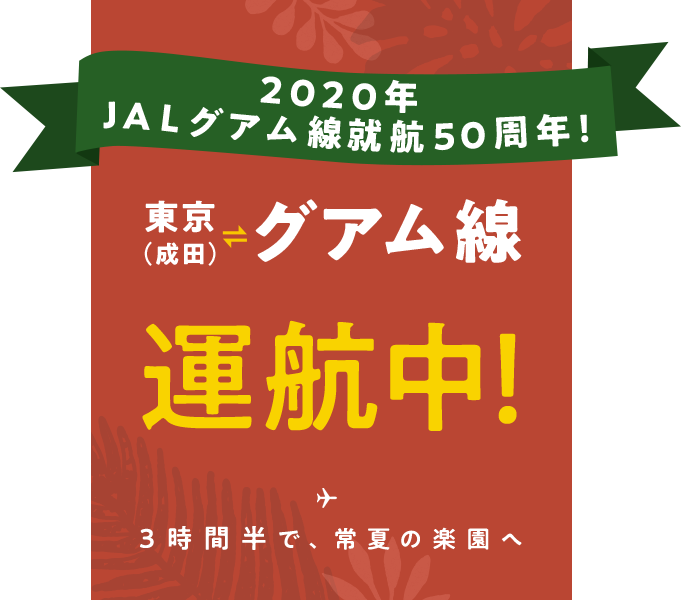 東京 成田 グアム線 運航中 Jal国際線