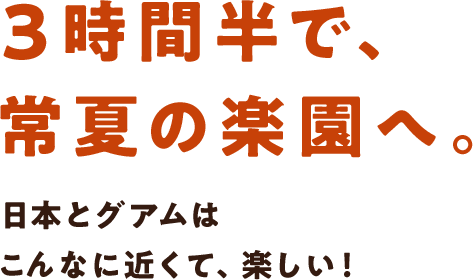 東京 成田 グアム線 運航中 Jal国際線