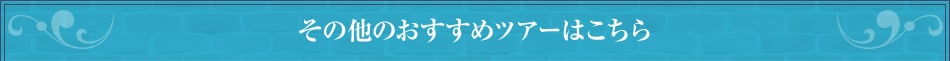 その他おすすめツアーはこちら