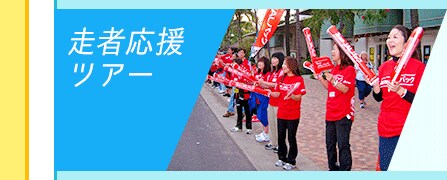 フルマラソン 走者応援 ツアー