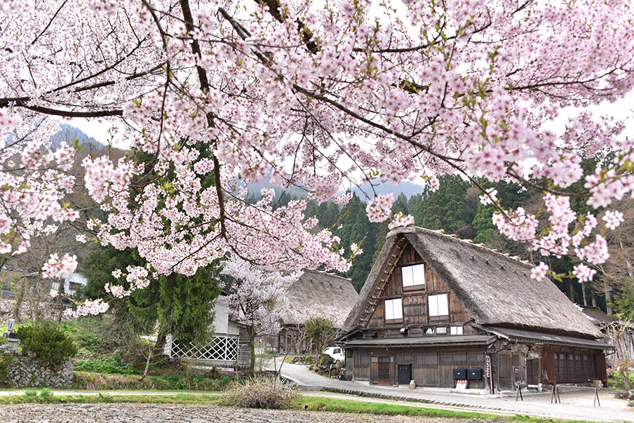 Spring
