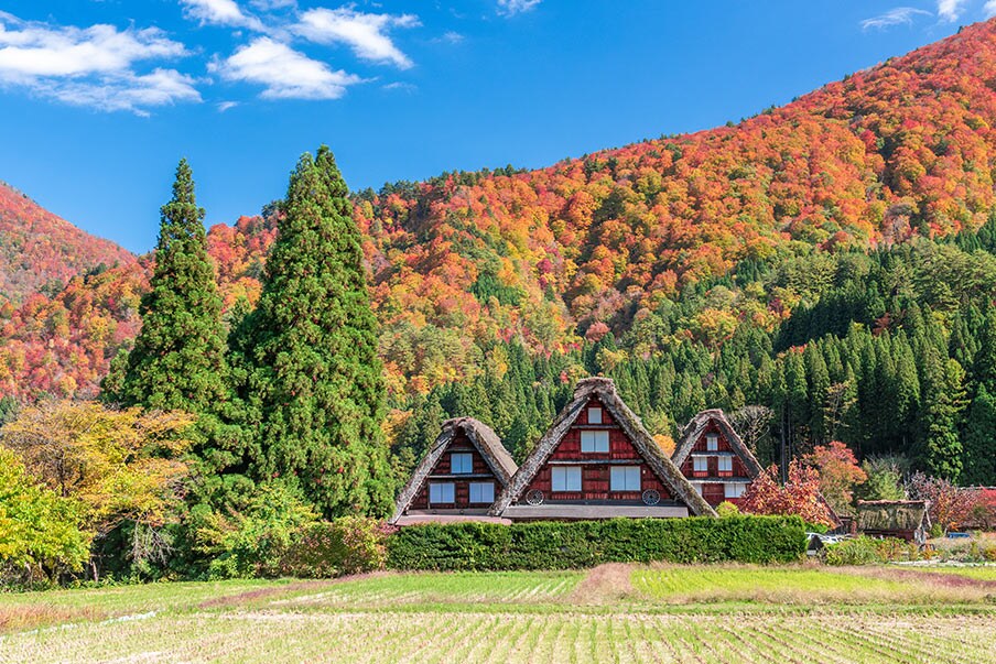 Autumn