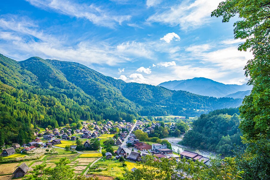 Ogimachi Village