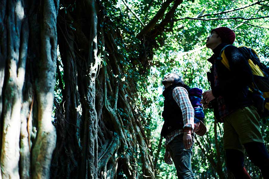 JAL Vacations Yakushima Adventure Package