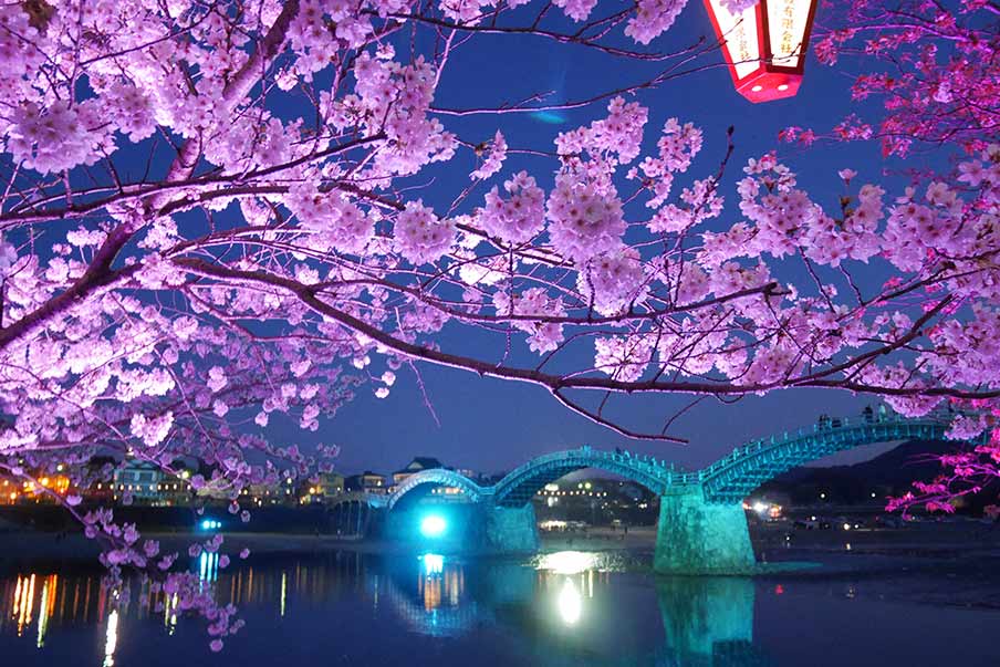 Iwakuni & Kintaikyo Bridge