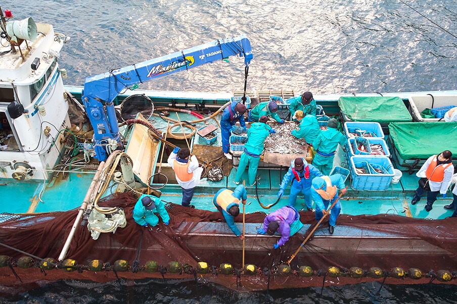 Piatti a base di pesce appena pescato
