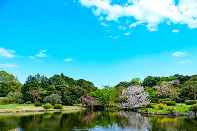 Giardino nazionale Shinjuku Gyoen, la casa imperiale diventa un giardino a Tokyo