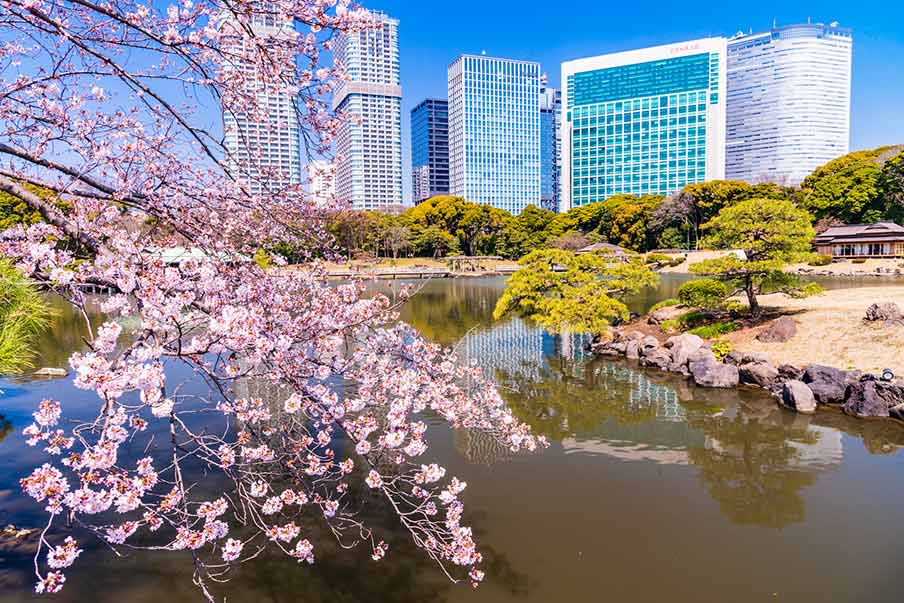 Giardino Hama-Rikyu, un'oasi paesaggistica in città