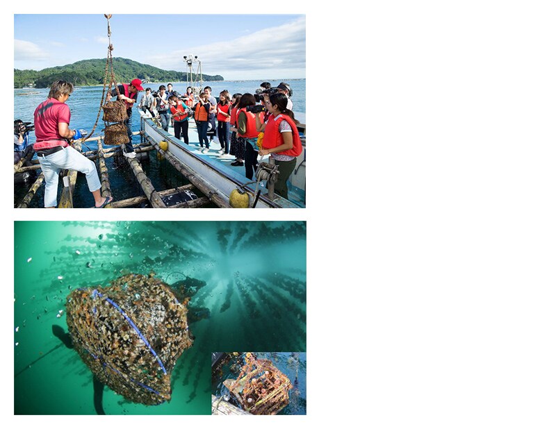 〔広田湾遊漁船組合〕広田湾海中熟成体験 招待券の拡大画像