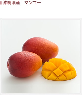 沖縄県産　マンゴー