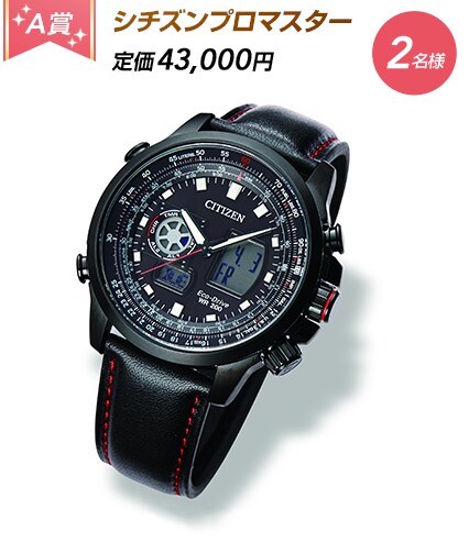 A賞:シチズンプロマスター 定価43,000円 2名