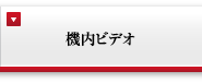 機内ビデオ
