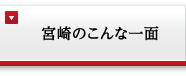 宮崎のこんな一面