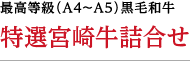最高等級（A4〜A5）黒毛和牛 特選宮崎牛詰合せ