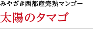 みやざき西都産完熟マンゴー　太陽のタマゴ