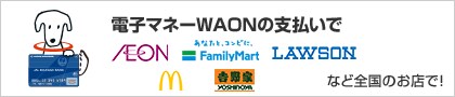 電子マネーWAONの支払いで AEON FamilyMart LAWSON McDonalds 吉野家など全国のお店で!
